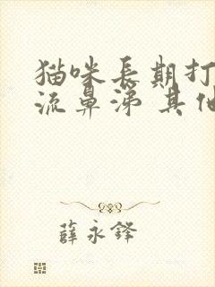 猫咪长期打喷嚏流鼻涕 其他都成正常