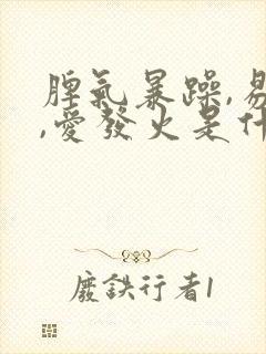 脾气暴躁,易怒,爱发火是什么病