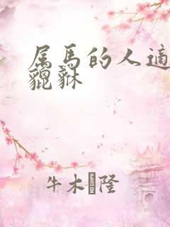 属马的人适合带貔貅