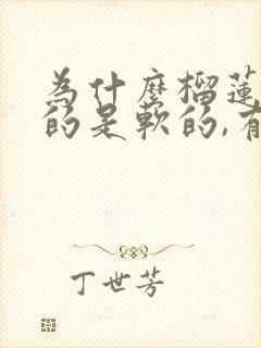 为什么榴莲肉有的是软的,有的是硬的