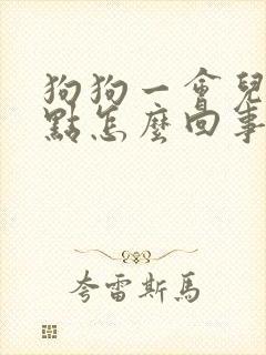 狗狗一会儿尿一点怎么回事