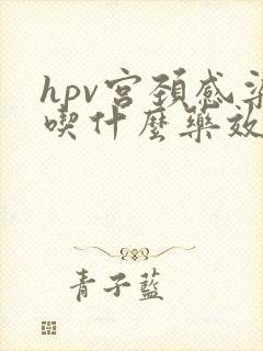 hpv宫颈感染吃什么药效果好