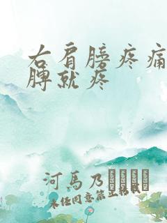 右肩膀疼痛抬胳膊就疼