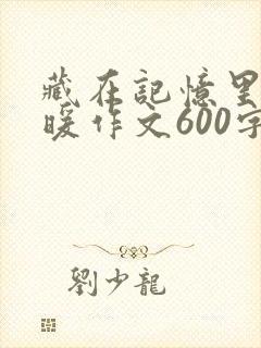 藏在记忆里的温暖作文600字