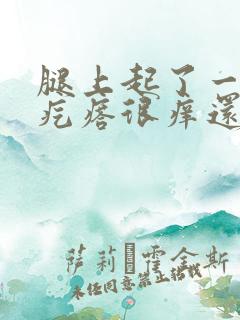 腿上起了一堆红疙瘩很痒还有水泡