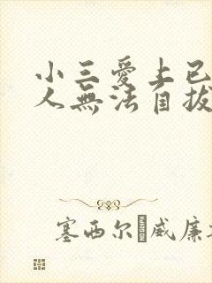 小三爱上已婚男人无法自拔