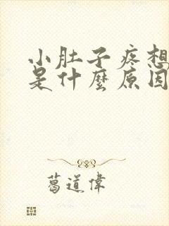 小肚子疼想拉尿是什么原因