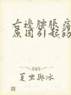 右边腰胀痛什么原因引起的女性