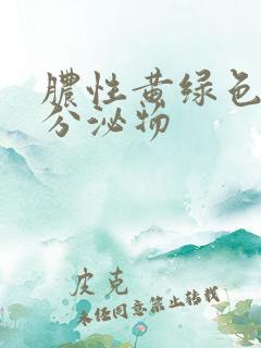 脓性黄绿色尿道分泌物