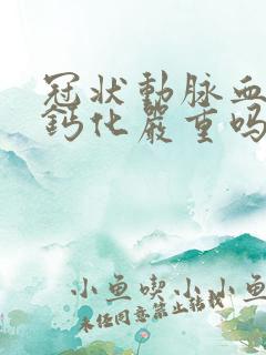 冠状动脉血管壁钙化严重吗