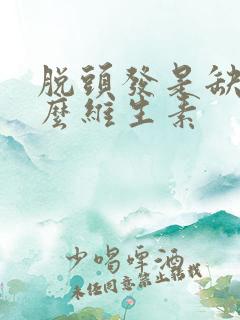 脱头发是缺乏什么维生素