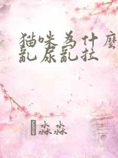 猫咪为什么到处乱尿乱拉