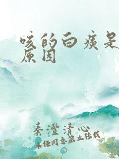 咳的白痰是什么原因