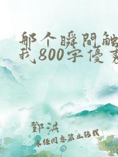 那个瞬间触动了我800字优秀作文初中