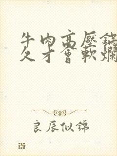 牛肉高压锅炖多久才会软烂