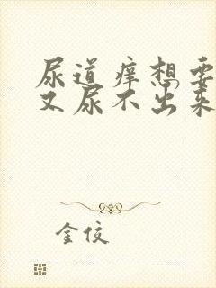 尿道痒想要尿尿又尿不出来