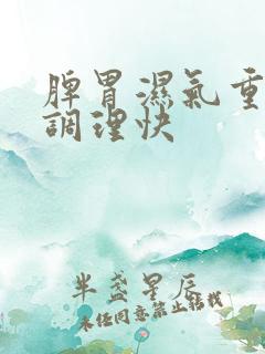 脾胃湿气重怎么调理快