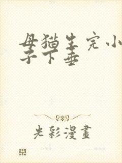 母猫生完小猫肚子下垂