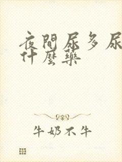 夜间尿多尿频用什么药