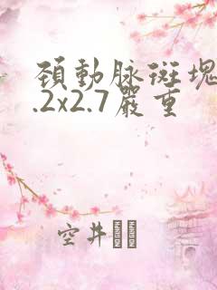颈动脉斑块10.2x2.7严重