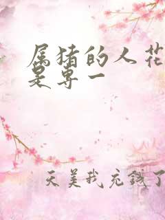 属猪的人花心还是专一