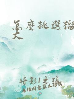 怎么挑选榴莲肉大