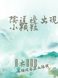 阴道边出现红色小颗粒