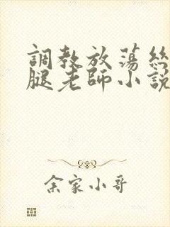 调教放荡丝袜美腿老师小说