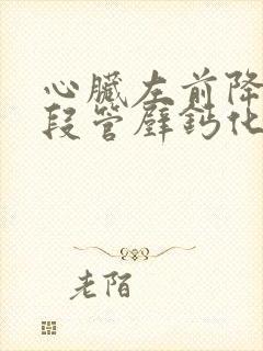 心脏左前降支近段管壁钙化斑块