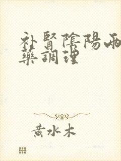 补肾阴阳两虚中药调理