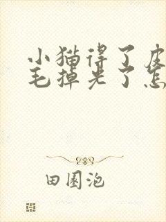 小猫得了皮肤病毛掉光了怎么办