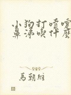 小狗打喷嚏流黄鼻涕吃什么药好