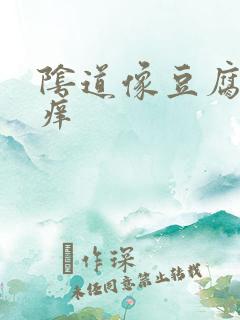 阴道像豆腐渣样痒