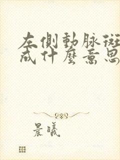 左侧动脉斑块形成什么意思