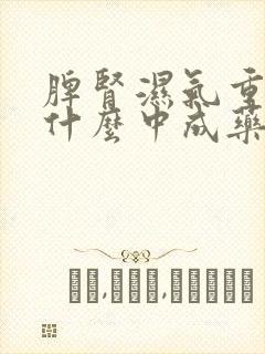 脾肾湿气重该吃什么中成药