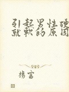 引起男性硬一会就软的原因