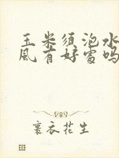 玉米须泡水对痛风有好处吗