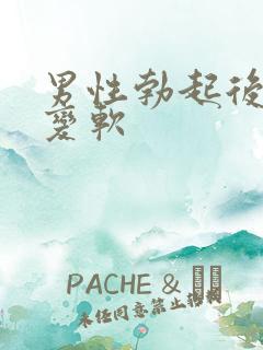 男性勃起后很快变软