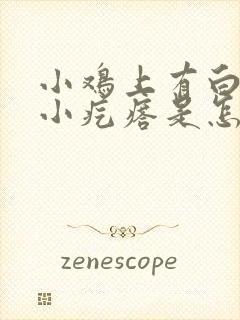 小鸡上有白色的小疙瘩是怎么回事