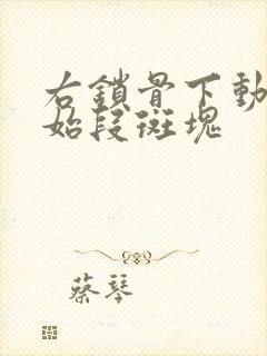 右锁骨下动脉起始段斑块