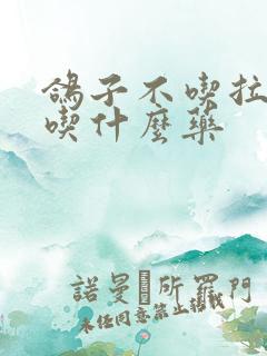 鸽子不吃拉绿便吃什么药