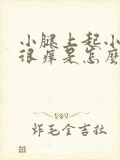 小腿上起小疙瘩很痒是怎么回事