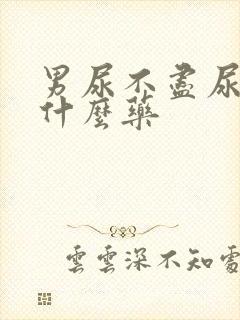 男尿不尽尿频吃什么药