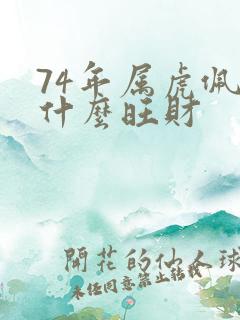 74年属虎佩戴什么旺财