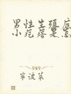 男性生殖底下有小疙瘩是怎么回事