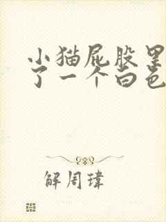 小猫屁股里出来了一个白色的虫