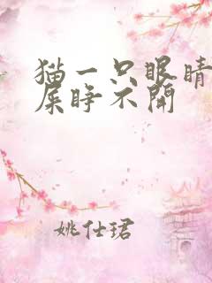 猫一只眼睛流眼屎睁不开