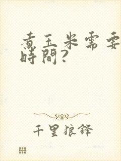 煮玉米需要多长时间?