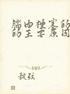 脑内梗塞的形成的主要原因