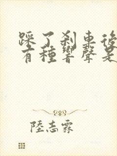 踩了刹车后车就有种响声是怎么了